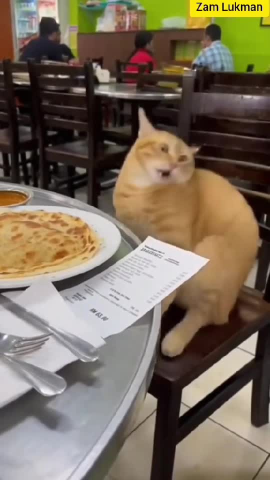 Saptamana frumoasa!