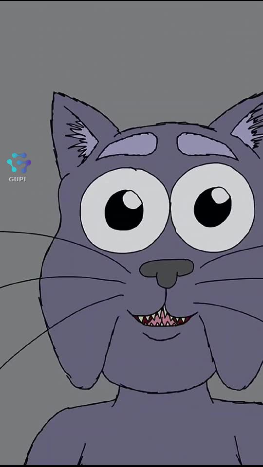 cat in the night
