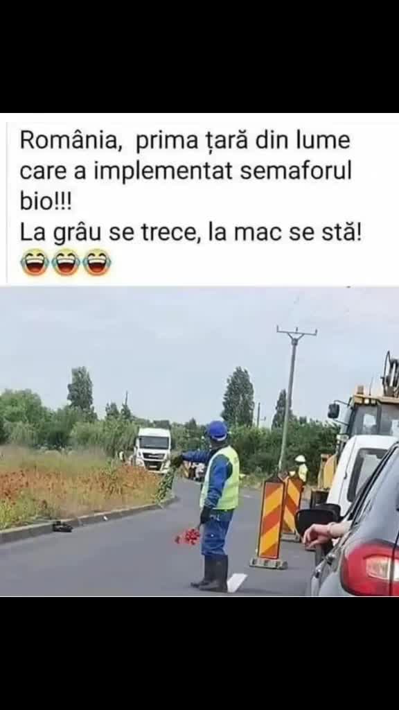 🤣🤣🤣🤣