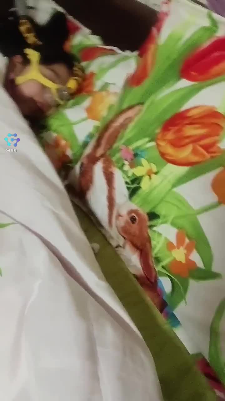 noapte bună tuturor