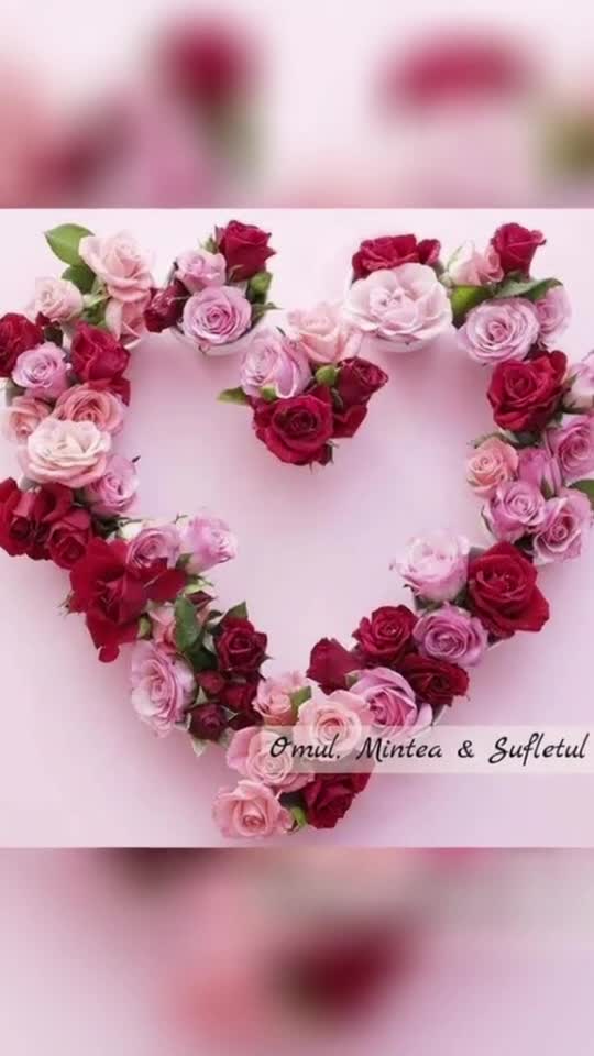 🌺Bună dimineața! 🌞
 Îți doresc o zi senină, cu inima ușora și sufletul plin de recunoștință!🙏🌺
Fiecare zi este un " DAR", sa ne bucuram cu speranta