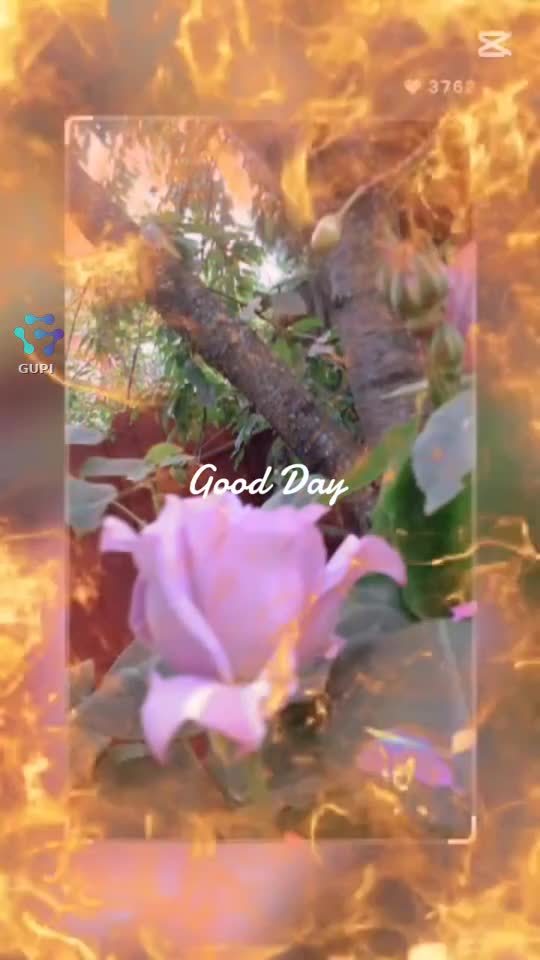 Good Day