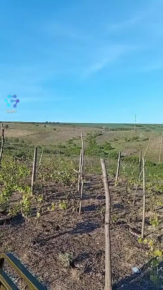😜😜🤠🤠🥳