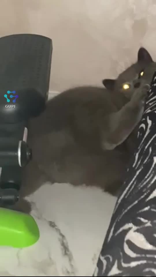 🤣🤣🤣🤣🤣❤️❤️❤️merita și el fallow și like ❤️❤️🤣🤣