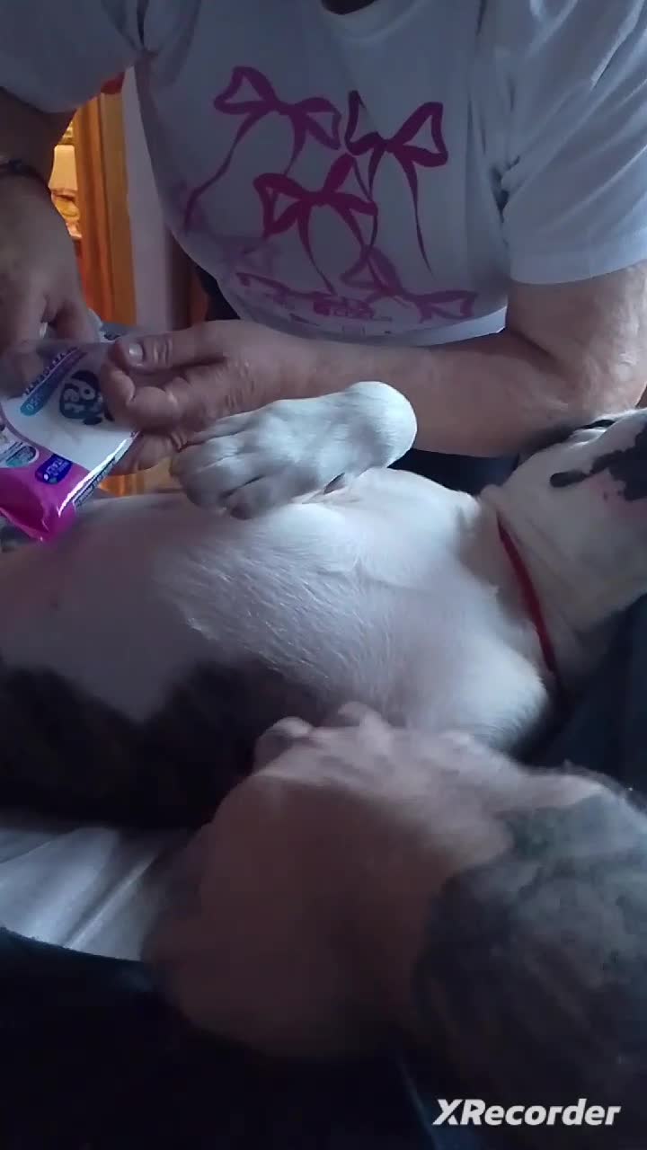 SA va dea dumezeu sanatate ,da si tu 2 monede un regalito care vezi video asta avem vevoie de ajutoru tau pentru mi croco