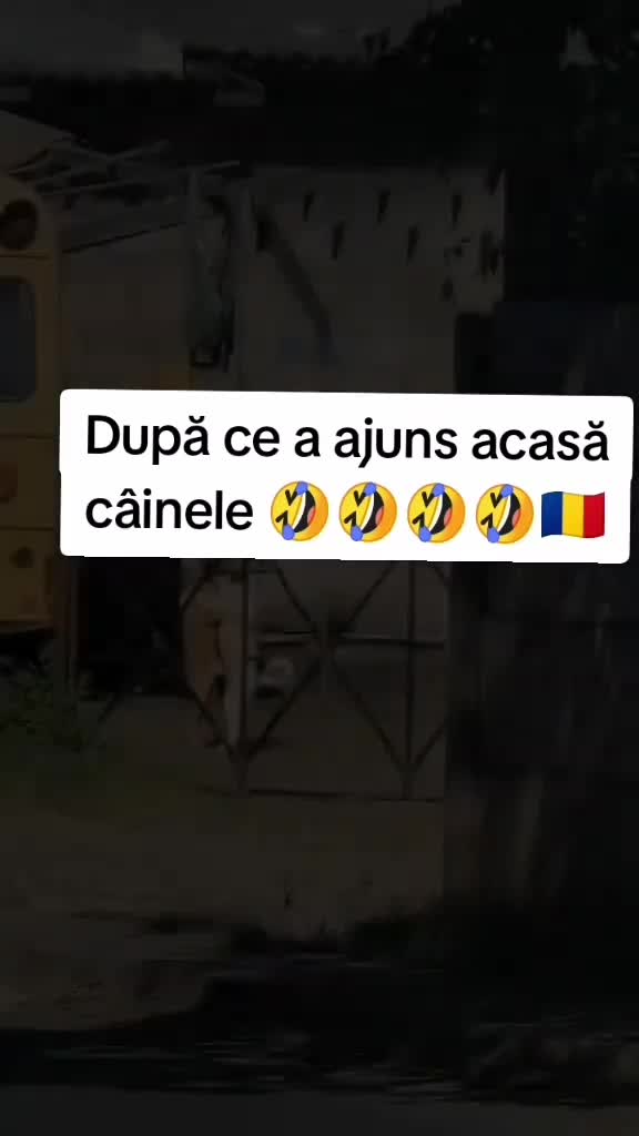 🤣🤣🤣