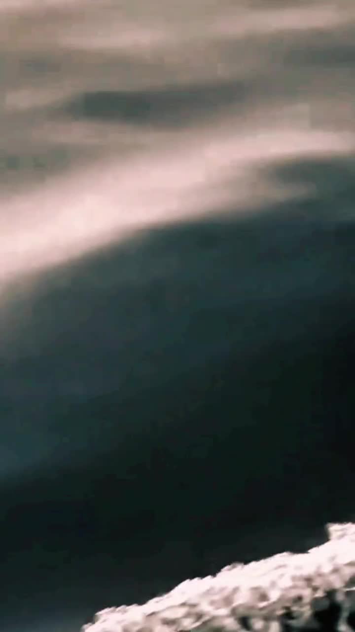 🦋 
 🌊🚢
#❤️💙