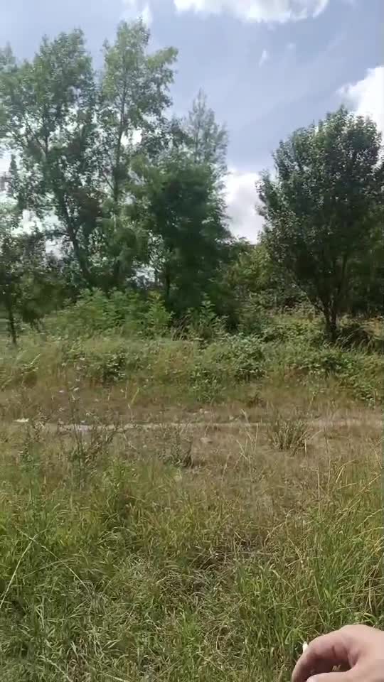 Vă salut pe toți!👋