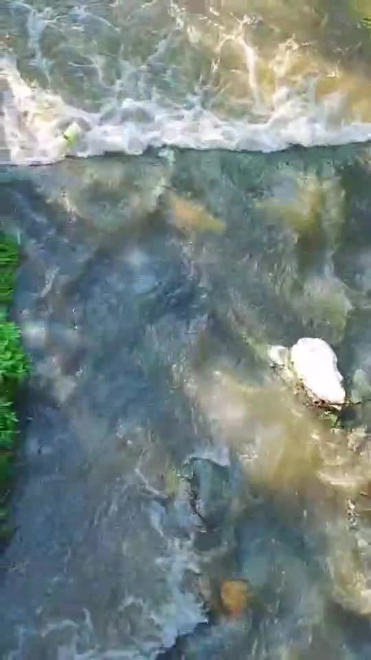 Susurura paraul care coboară grăbit din munte!😍🥰🥰