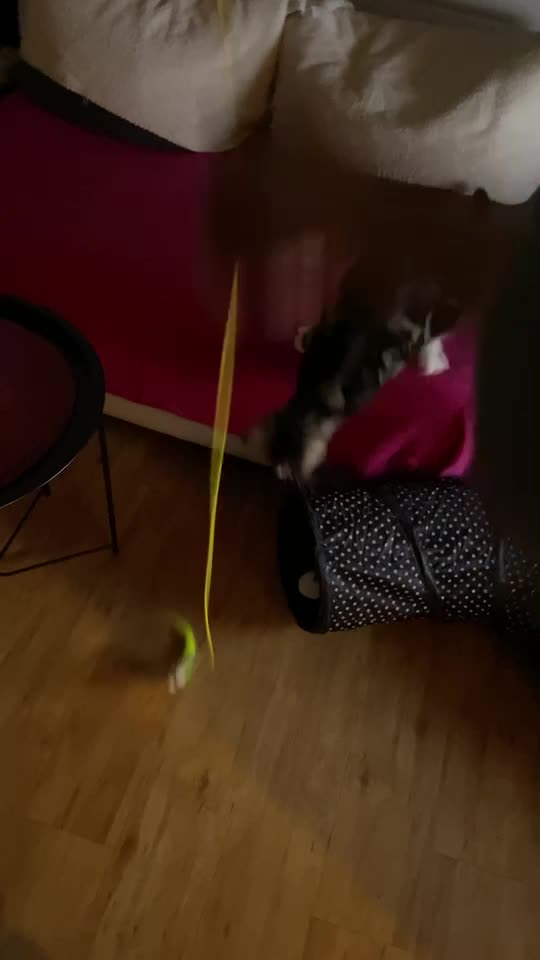 Video