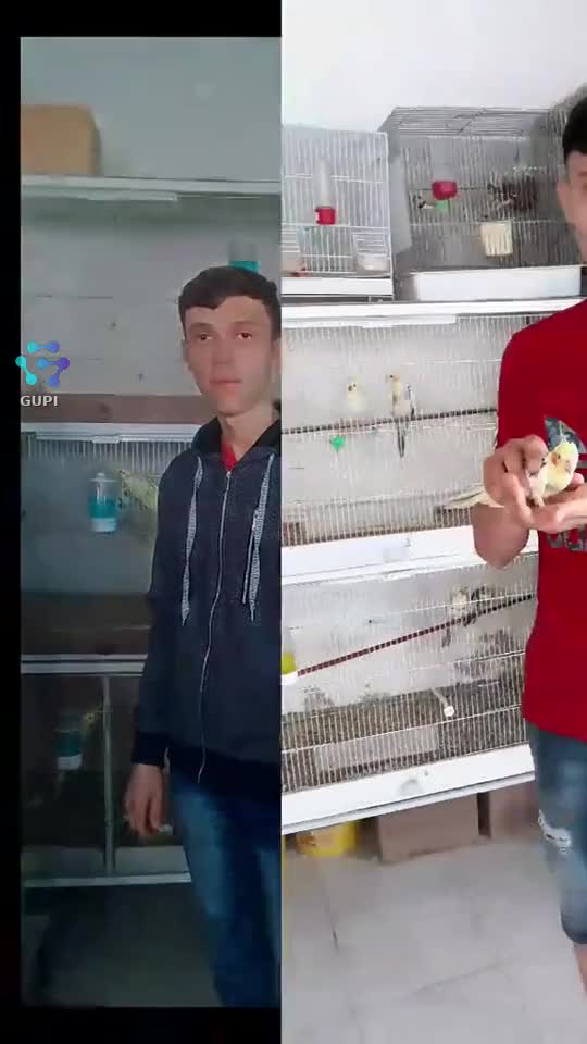 Bacău