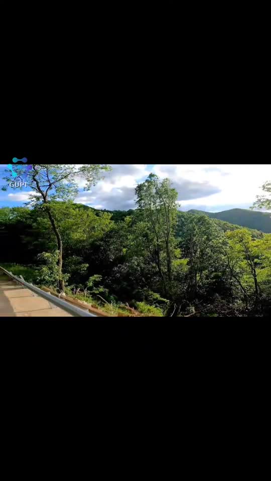 Original Sound - Florea Rica
