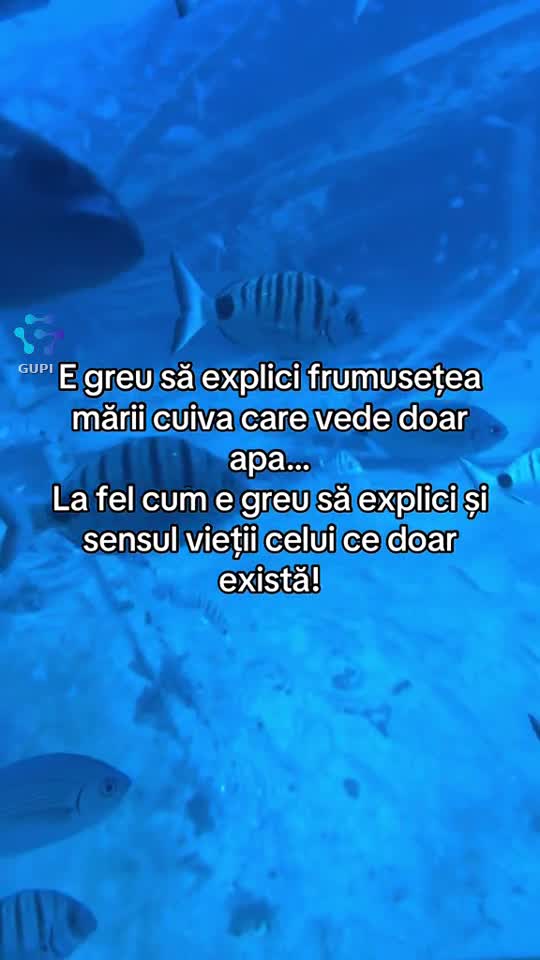 Video de @Nesuferitul