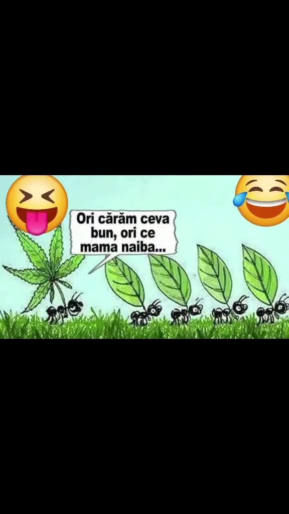 😁😁😆😆
