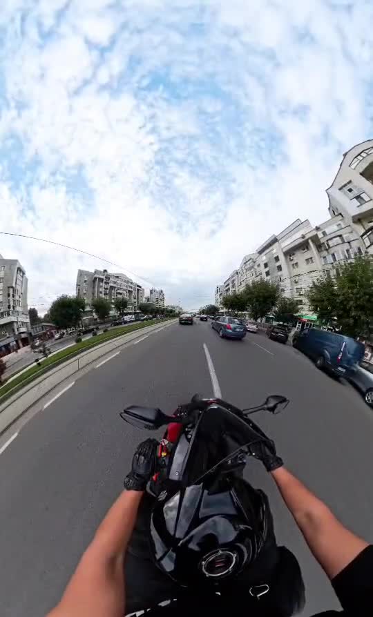 MotorLife
