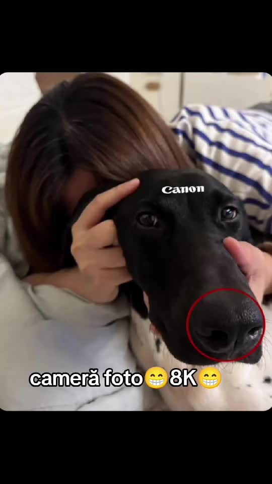 #####😁😂😁###