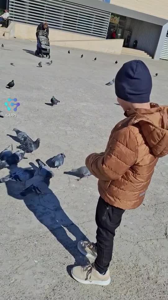 Video