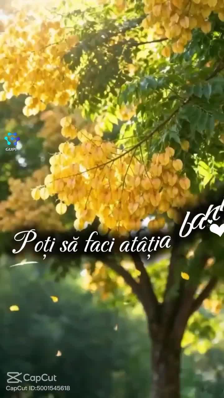 Adevărat 🌹🌹🌹❤️🐦‍🔥