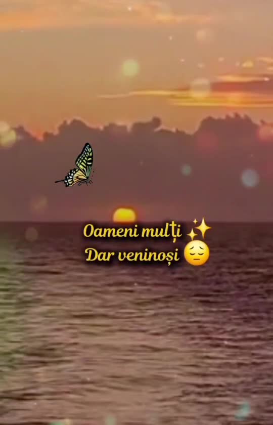🦋 
 #❤️💙