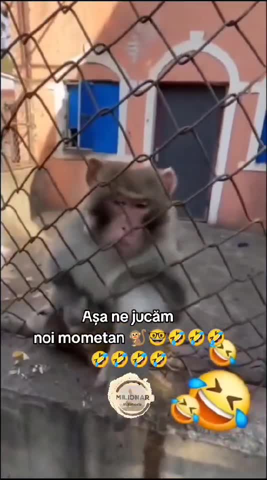âmbete