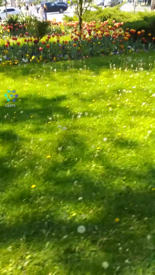 🥰🥰🥰🤐🤐🤐💝💝💝🩸🩸🩸🌺🌺🌺🥀🥀🥀🏵️🏵️🏵️🌼🌼🌻🌻🪻🍄🍁🍂🌾🌴🪴🍀☘️🍃🌱🌿🪺🪾🌱🌱🌱🪻