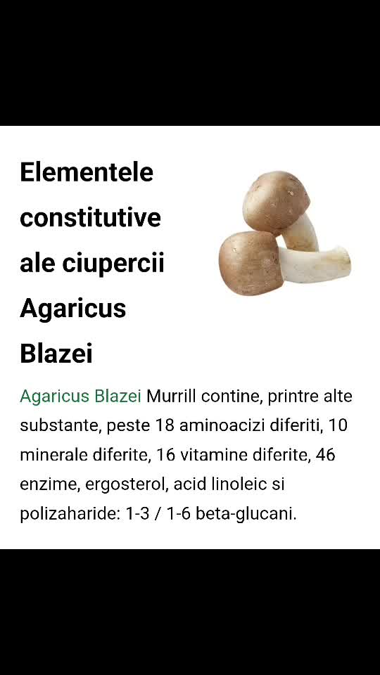 Ciuperca lui Dumnezeu!🙏