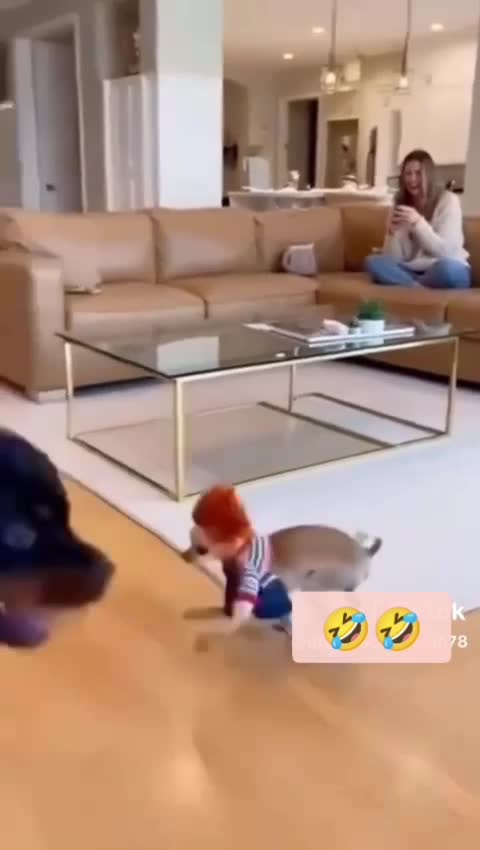 🤣🤣