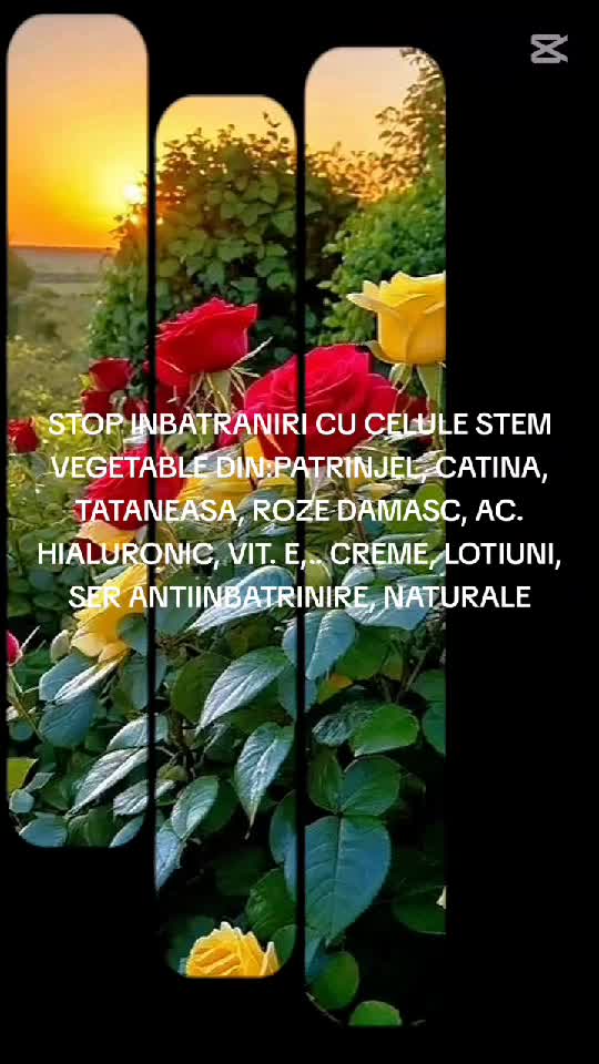 STOP INBATRANIRI