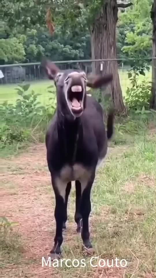 🤣🤣🤣