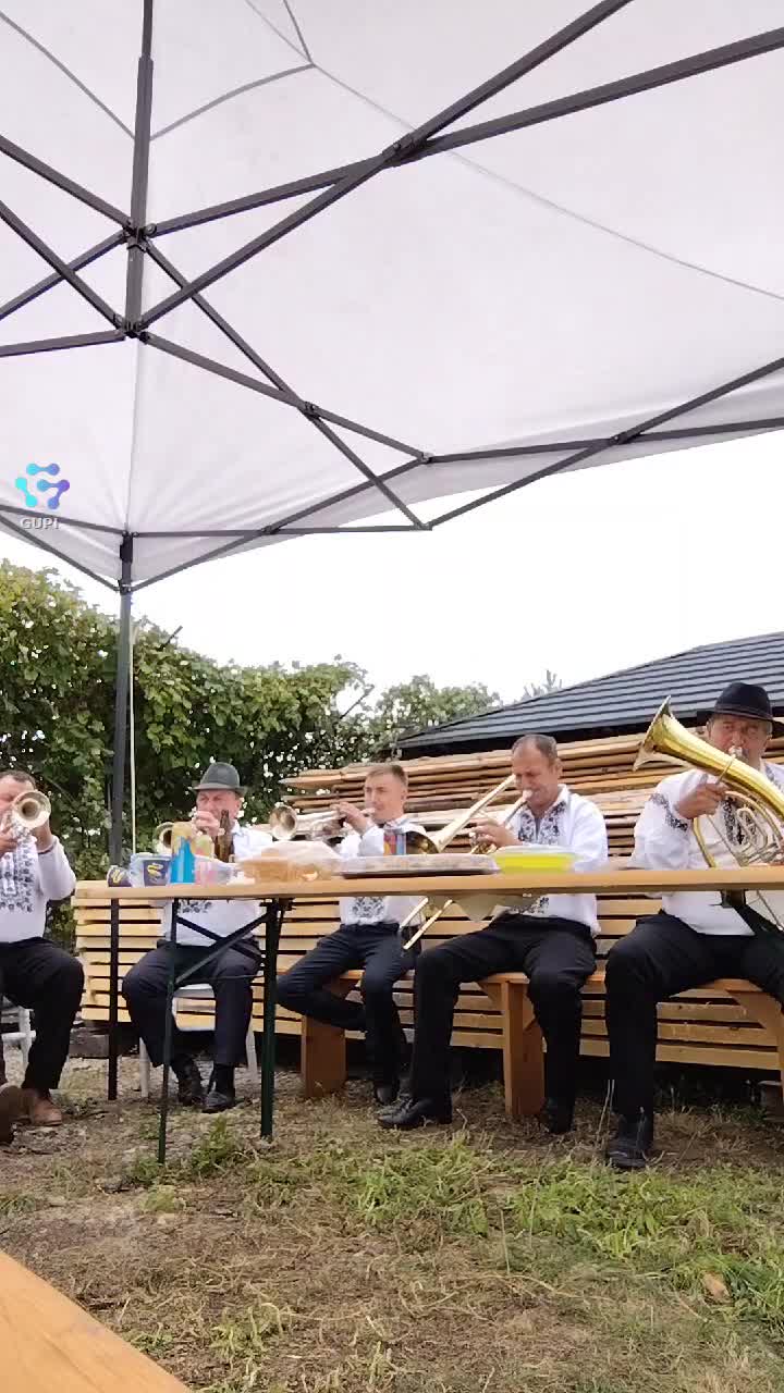 fanfara tradiția Todirești Suceava 🎺❤️ nuntă
