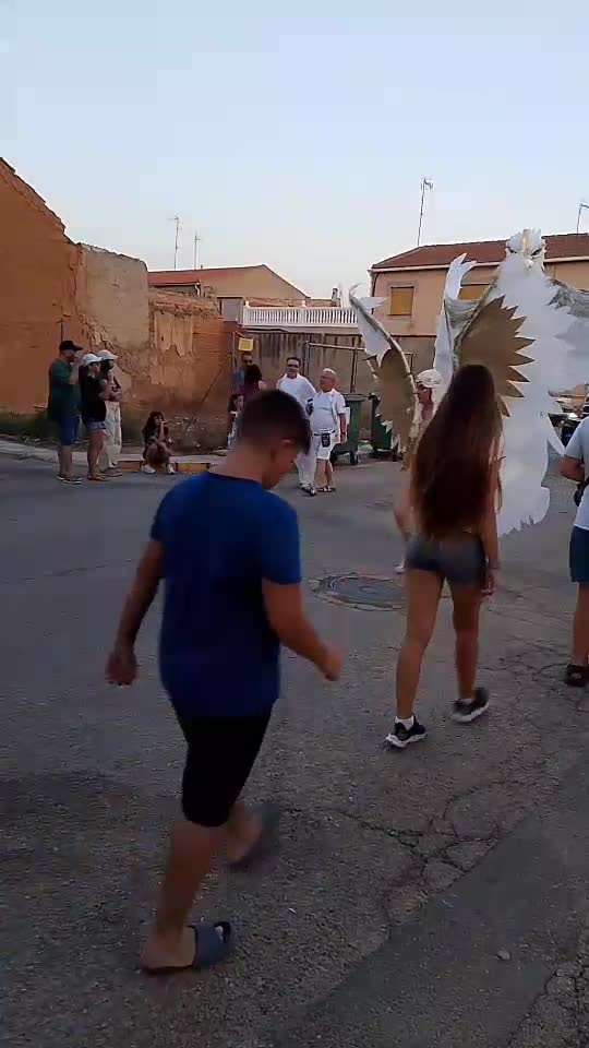 FIESTA VILLAMALEA 2025