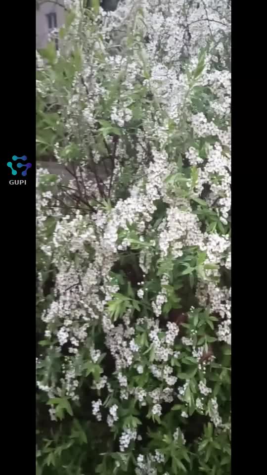 Iubiți Natura