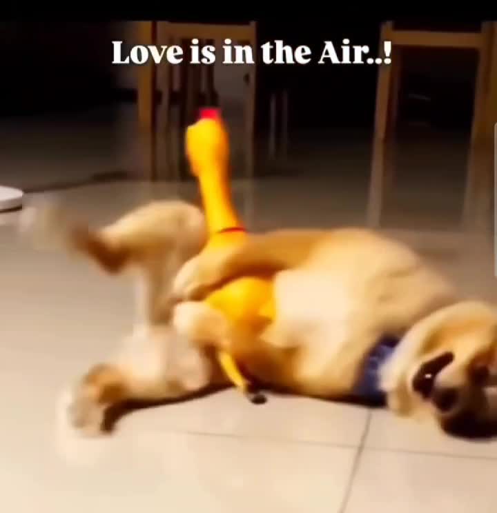 când îți vine îți vine