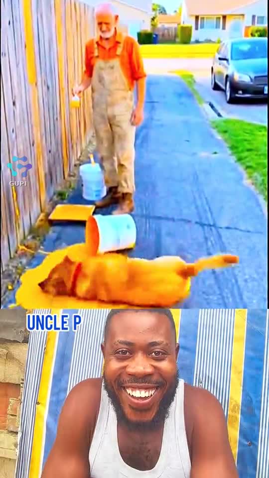 Așa cățel sa tot ai ❤️|||{"overlays":[{"text":"Atenție la cățel 🥸👉😂","x":0.03888888888888889,"y":0.6317979197622586,"fontSize":26.0,"color":4294901760,"isEmoji":false}]}