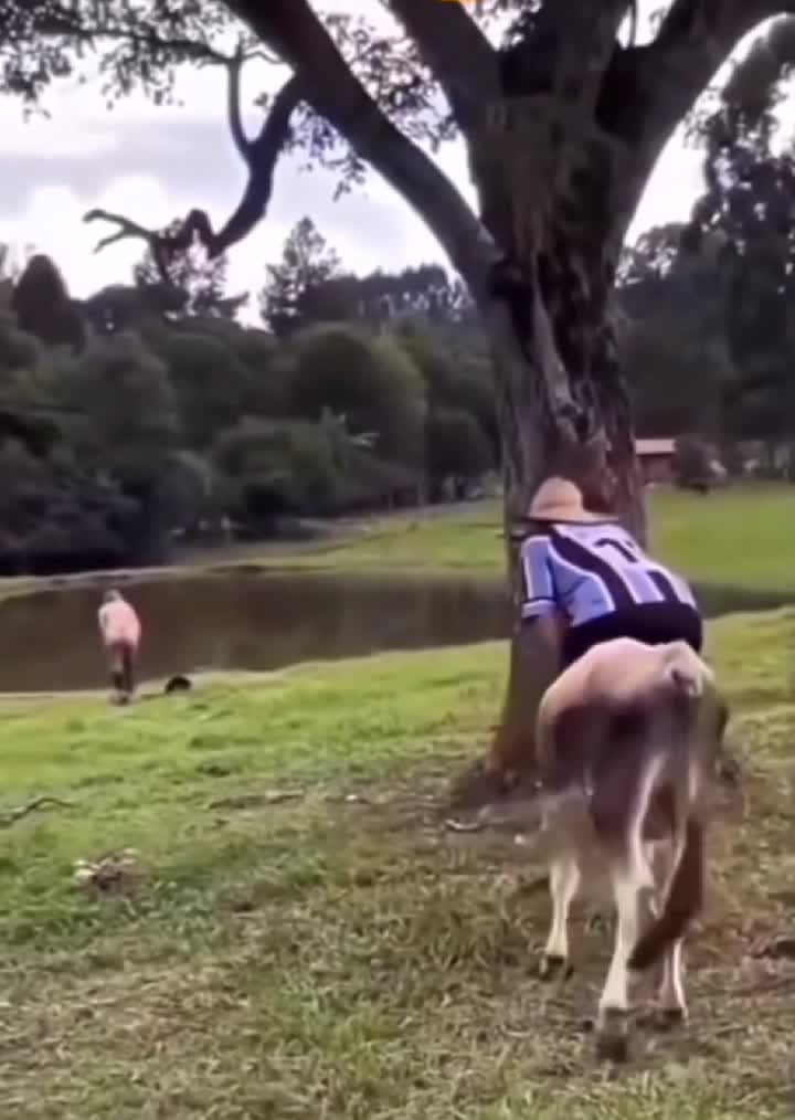 😄😄😄😅😅