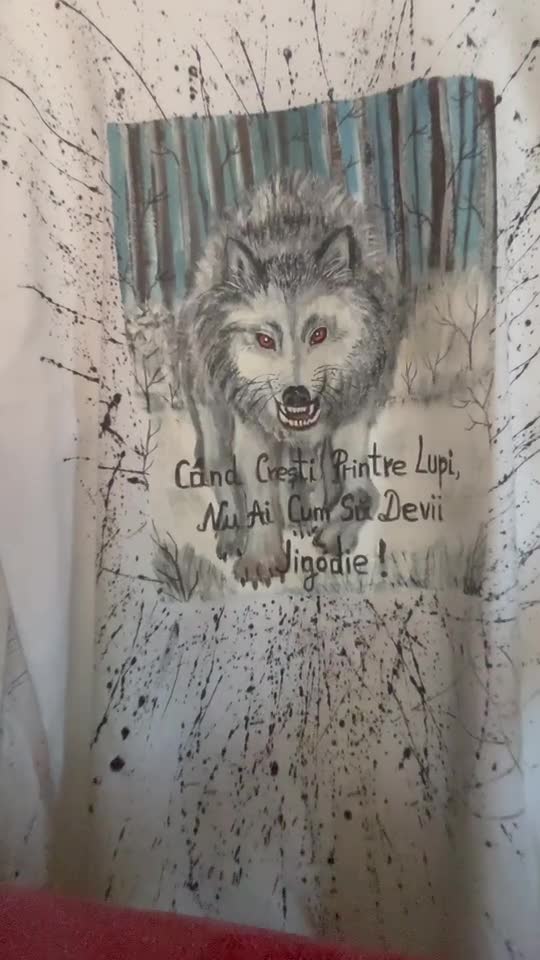 tricou pictat manual, vă place?