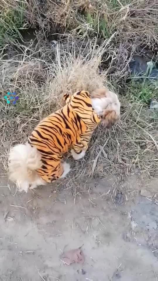 🥰🥰🥰🥰❤️