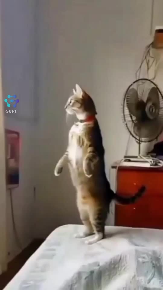 Ai grijă că te văd 🤣🤣🤣😁😁😁