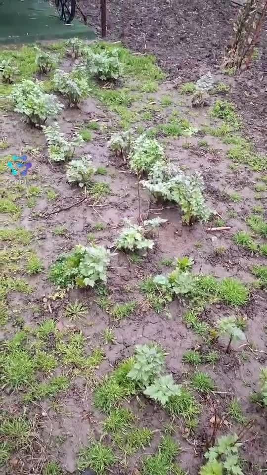 Viata la țară!🤗