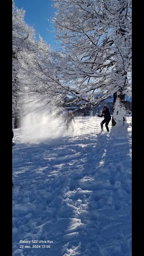 Video