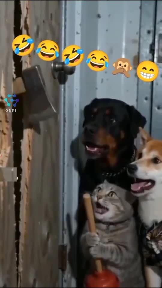 funny horror