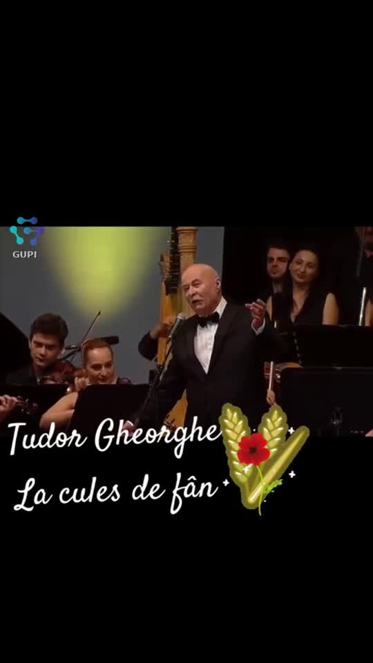 Video de @gupiuser94724