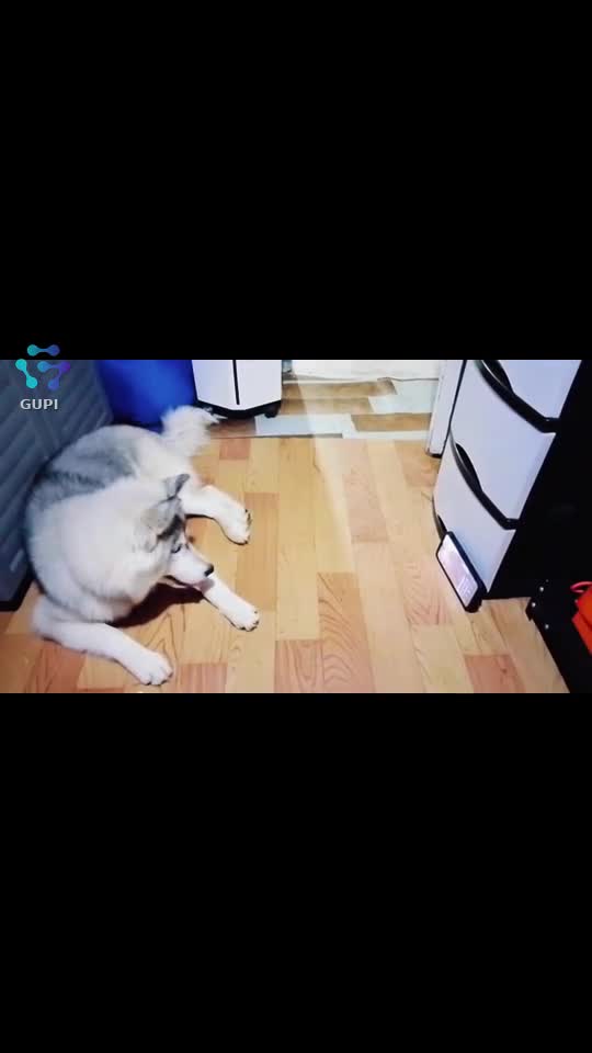 Video de @sergent