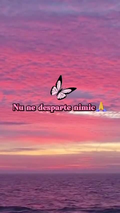 #🦋💙