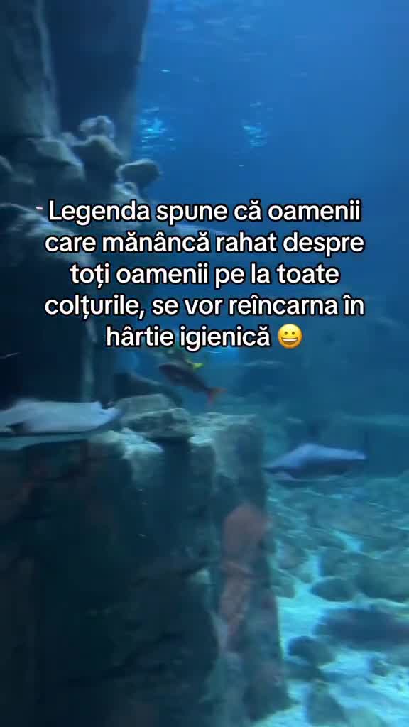 😂🫣