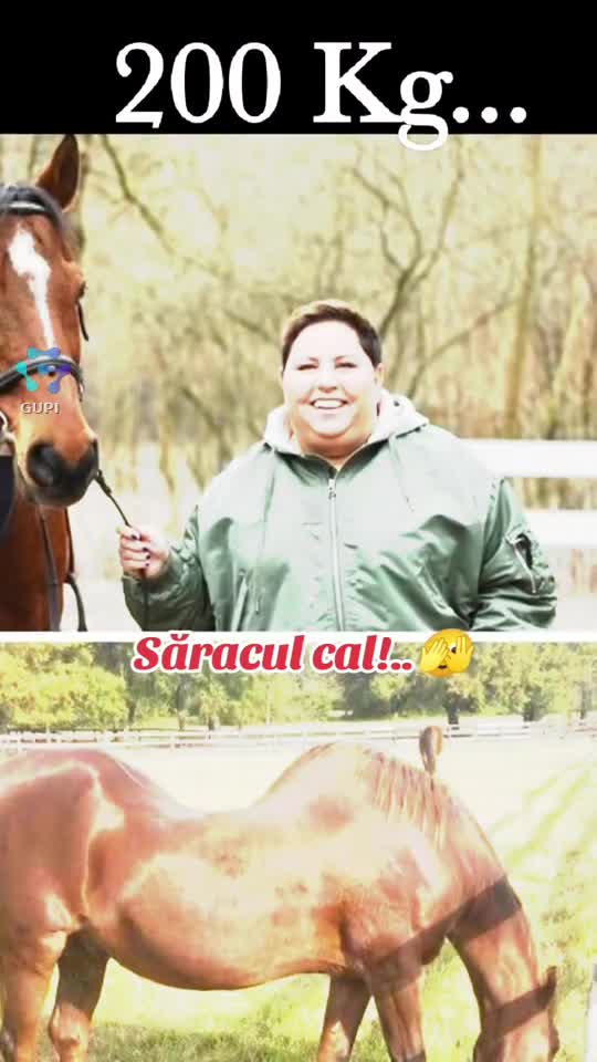 săracul cal...🫣