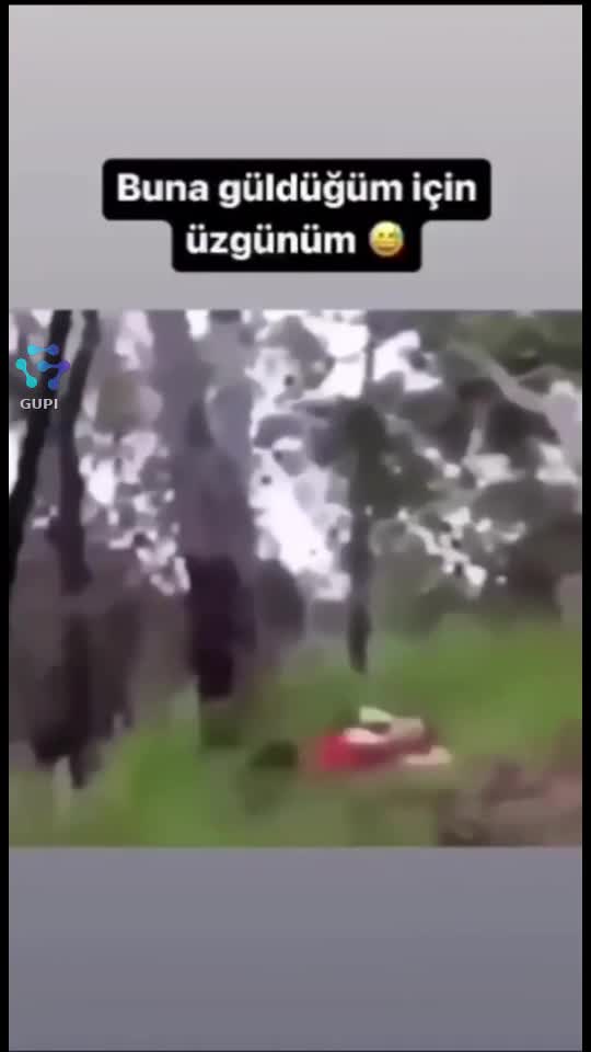 🤣🤣