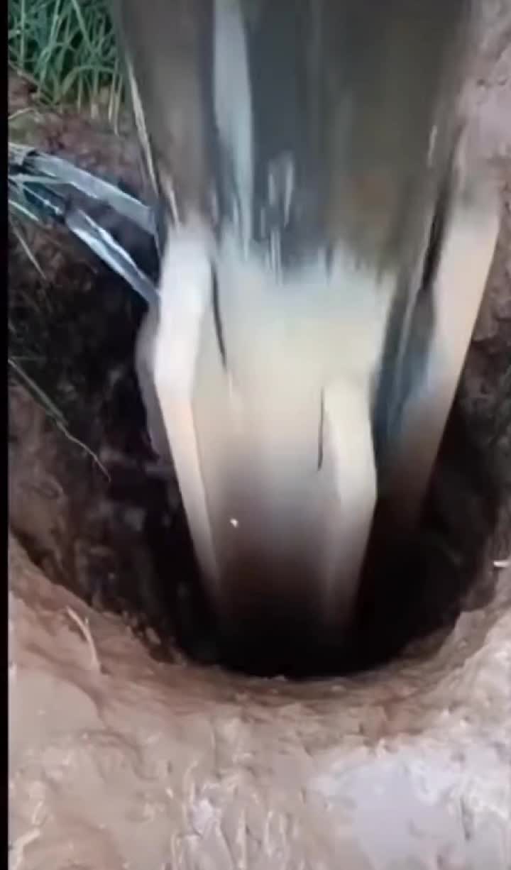🤣🤣🤣