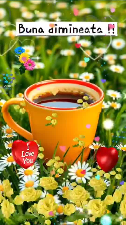 Bună dimineața ☕