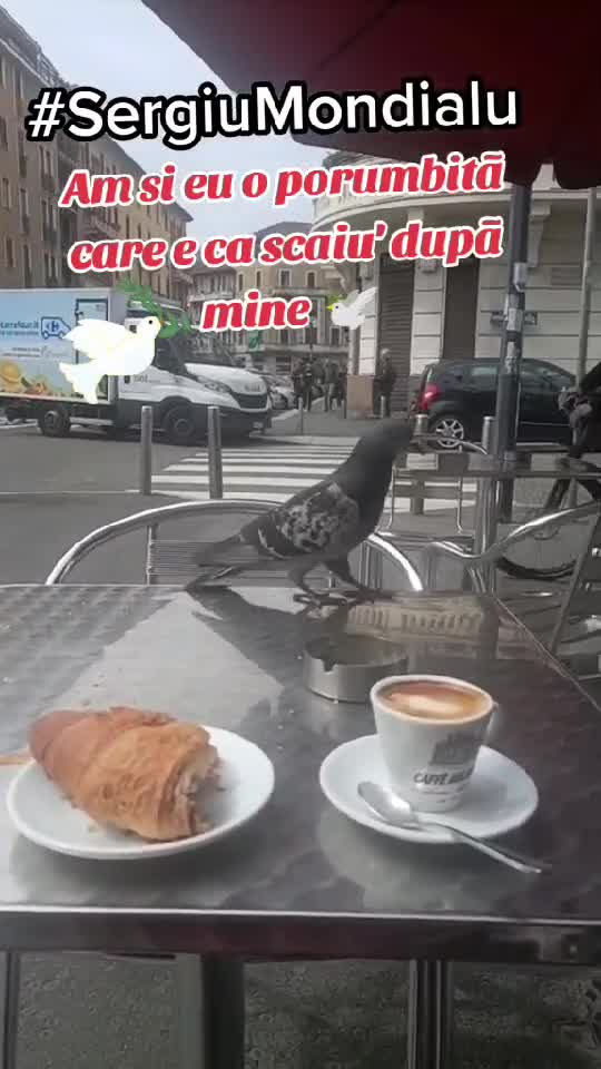 A.zburat mai bine de 30.km.dupa camionul meu....